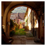 Backyard in Brasov by SzandorDuBois