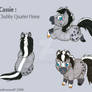 Cassie Horse Ref Sheet