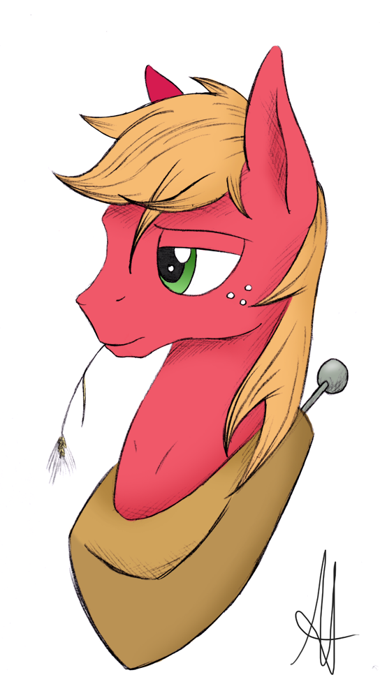 [MLP] Big Mac portrait