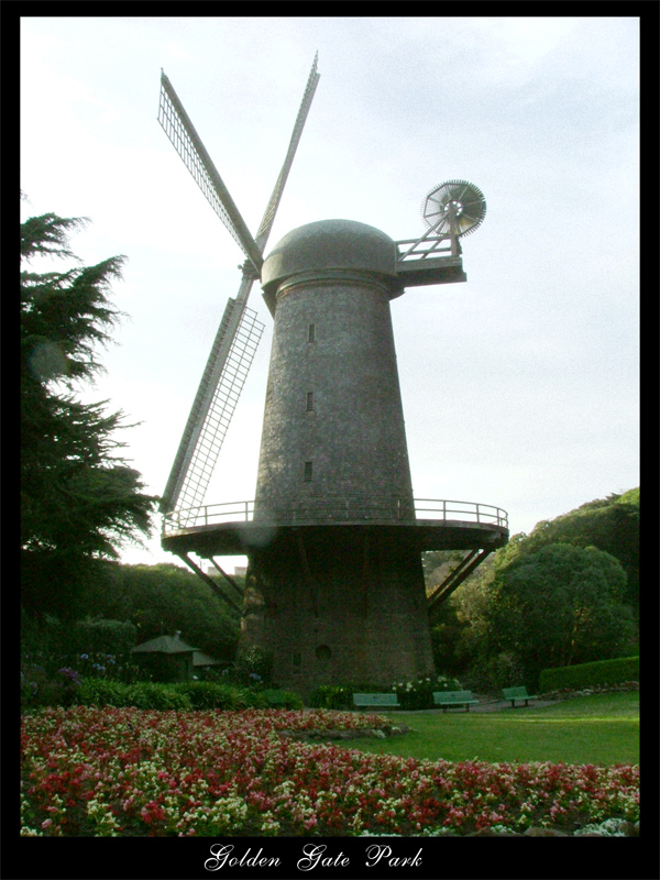 Golden Gate Park