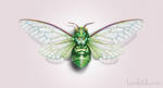 Cicada by becsketch Cicada by becsketch
