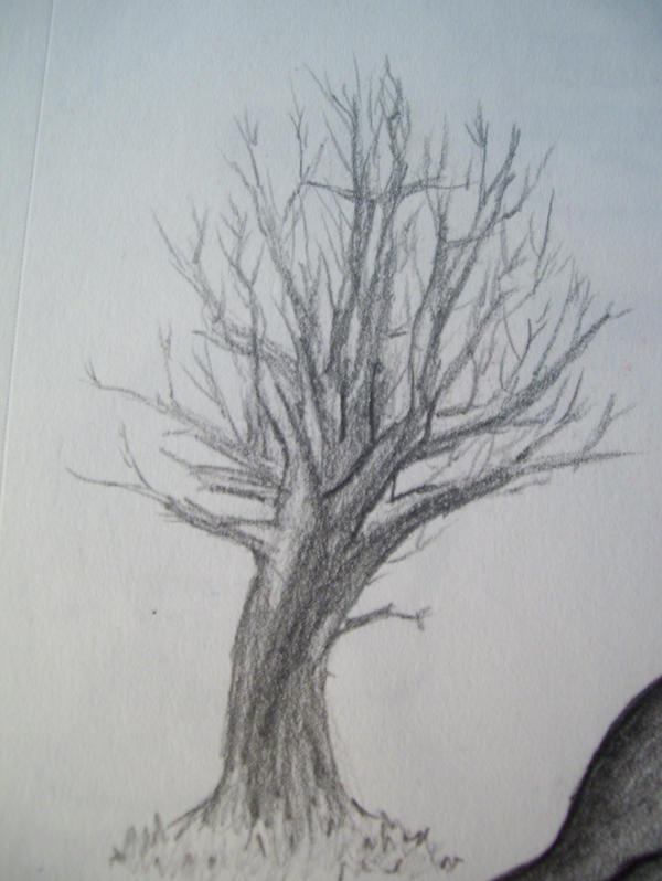 Spring Tree Sad Drawing Sad Tree by Adamaris on DeviantArt