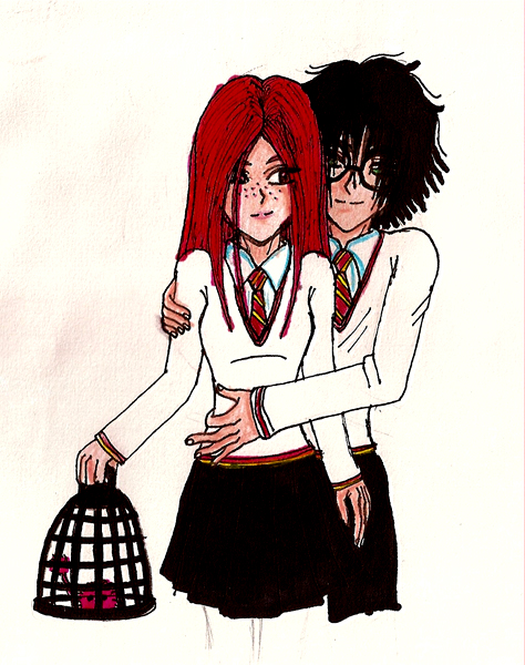 Ginny y Harry by SevPrince