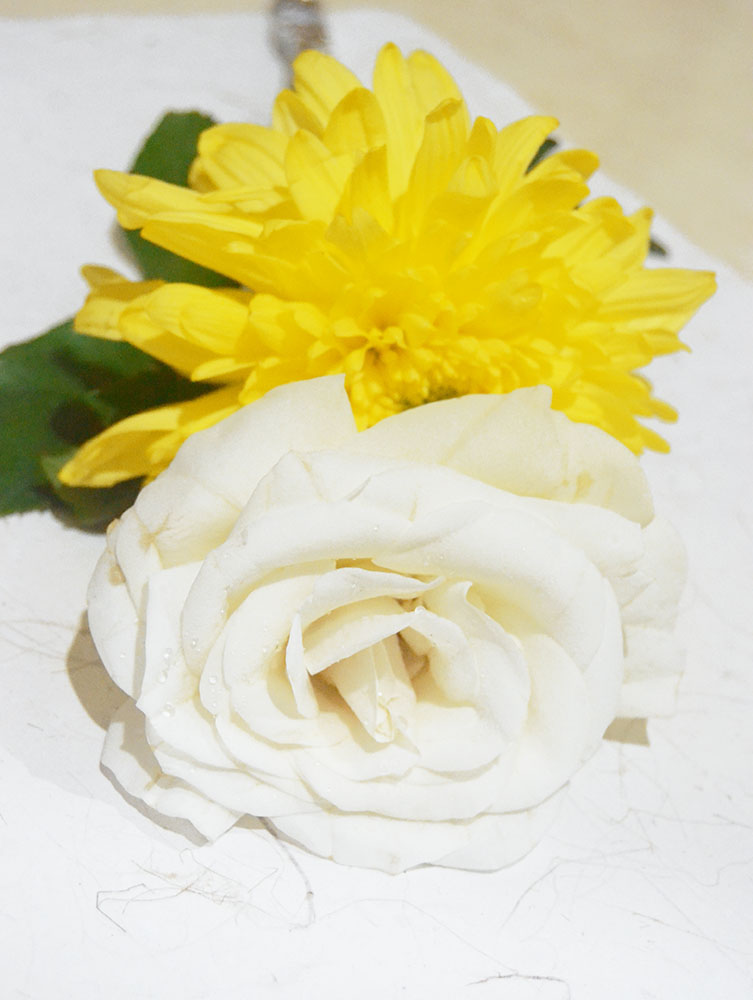 White Rose and Yellow Mum