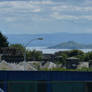 Across the Firth of Forth