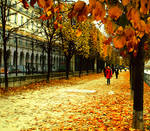 Autumn Leaves in Paris by samsamforever