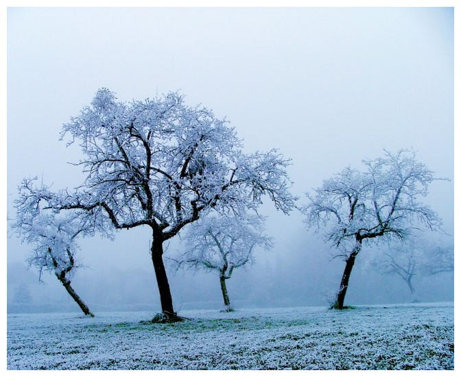 Iced by JeanFrancois on DeviantArt
