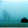 Blizzard