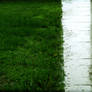 rainy day + sidewalk lakes