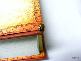 A ladybug on a book