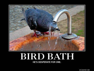 Bird Bath- Demotivational Poster