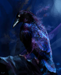 Raven ...