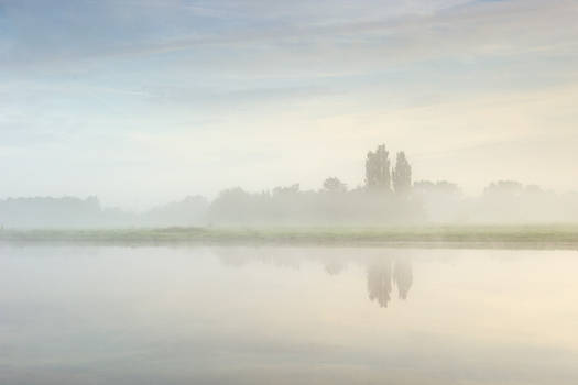 Polder Berkenwoude in the mist