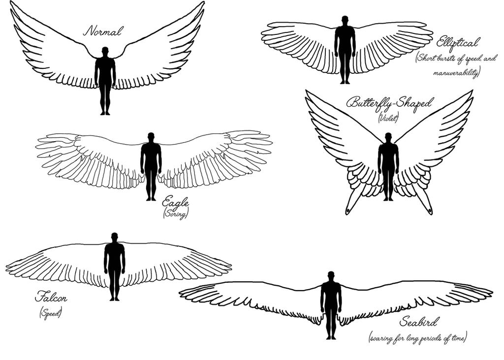 Не птичка а с крыльями 2. Размах крыла. Размах крыльев ангела. Крылья ангелов в размахе. Размах крыльев птиц.