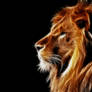 Glowing Lion