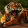 Embo Tiger