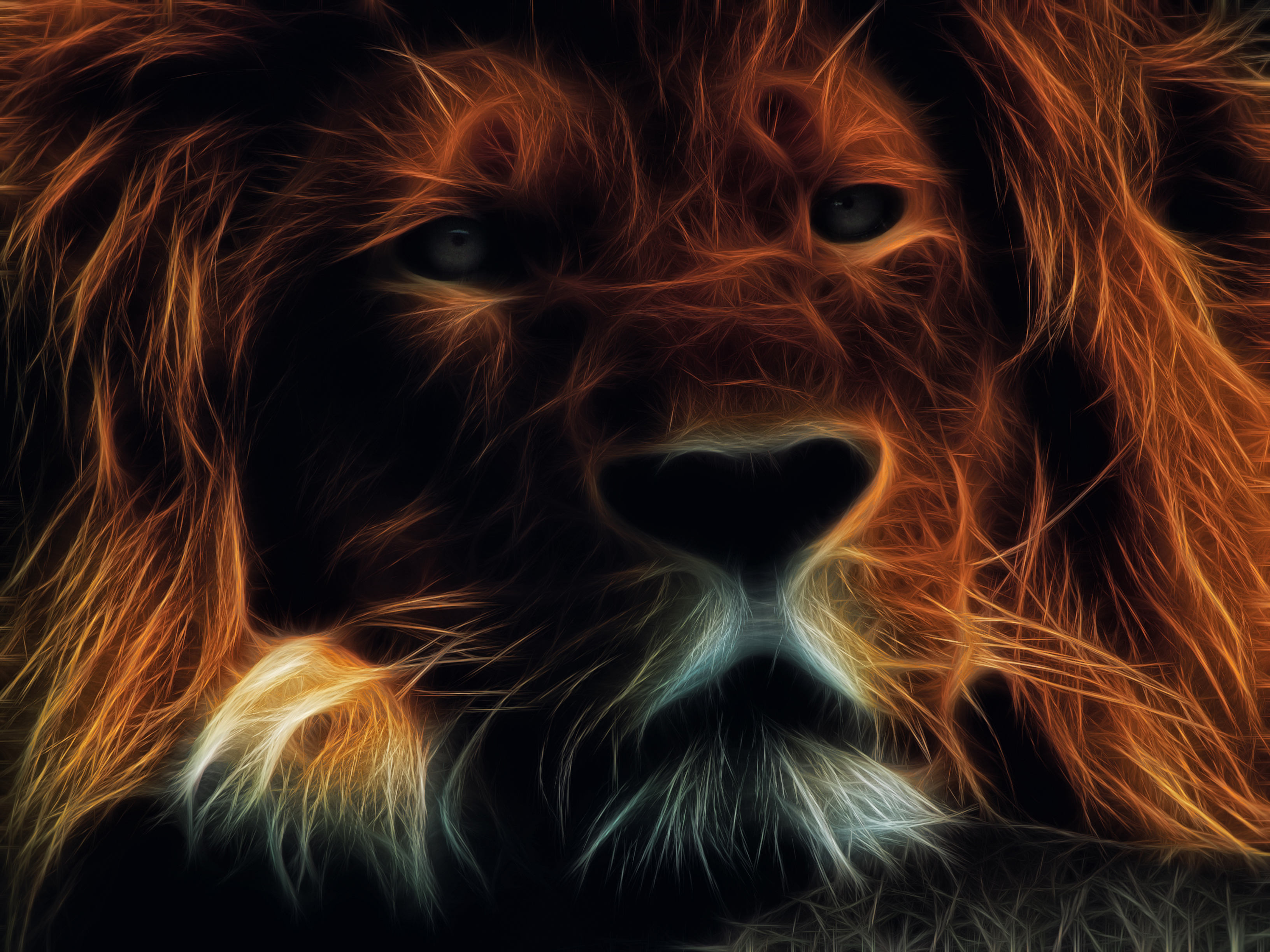 Lighting Lion