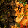 The Great King