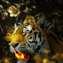 Gold Tiger