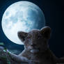 King Lion