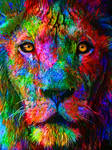 Colored Lion II by MilosCreativeArt