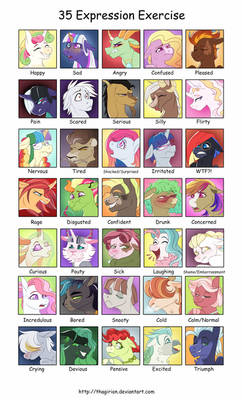 Expressions Meme