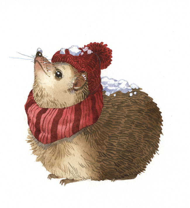 Winter Hedgehog