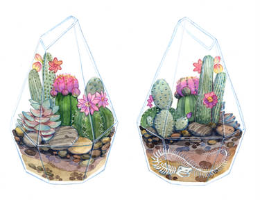 Desert Terrarium