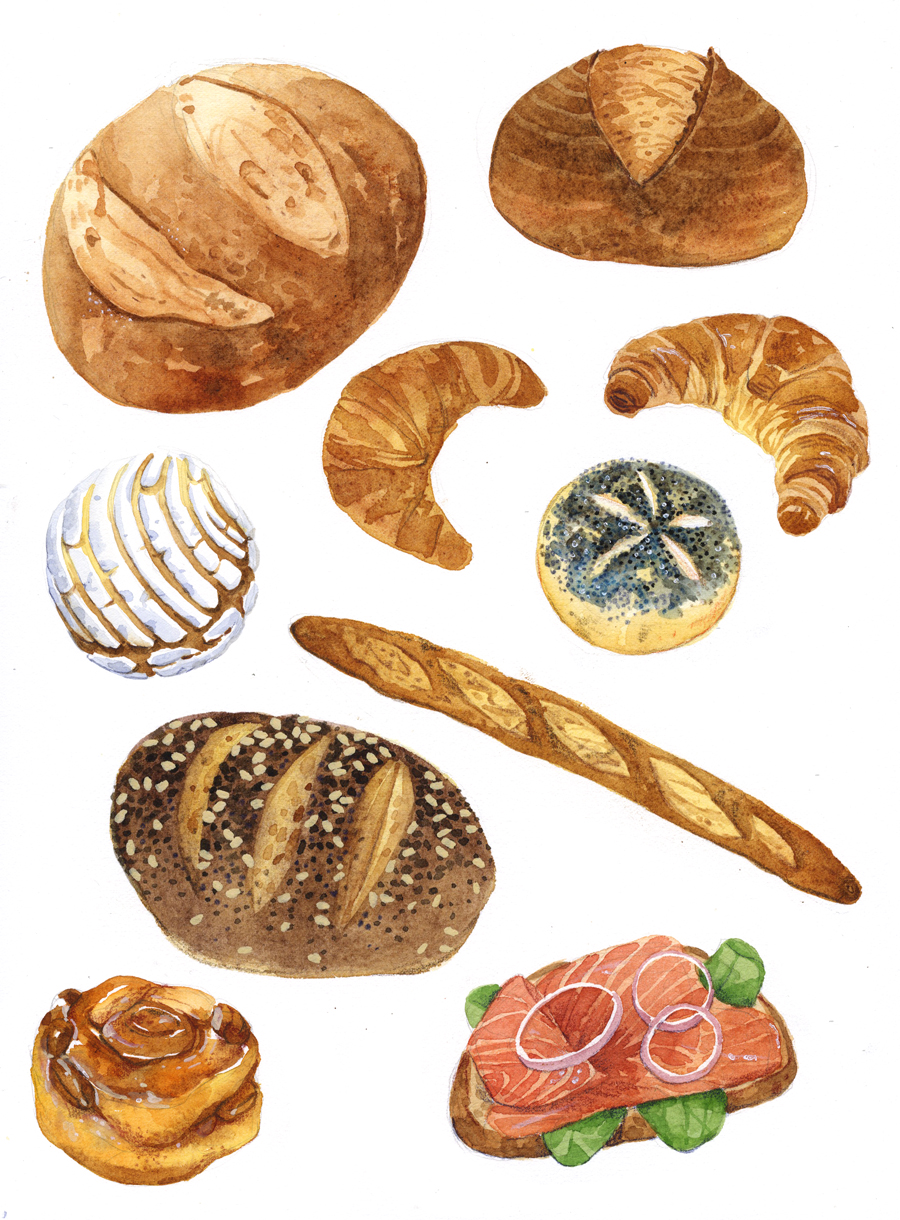 Bread and Toast Studies