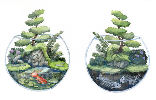 Zen Terrarium