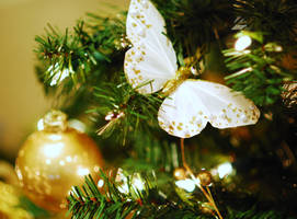 Christmas flies by