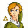 Link Portrait