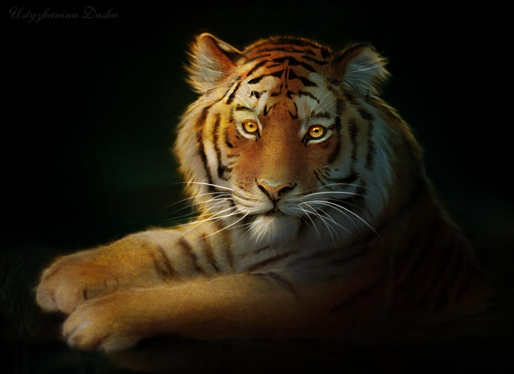 Tiger by UstyzhaninaART on DeviantArt