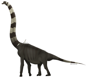 Giraffatitan