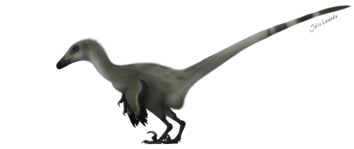 Velociraptor mongoliensis