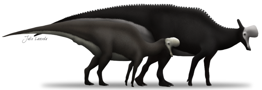 Dimorphism in Lambeosaurus