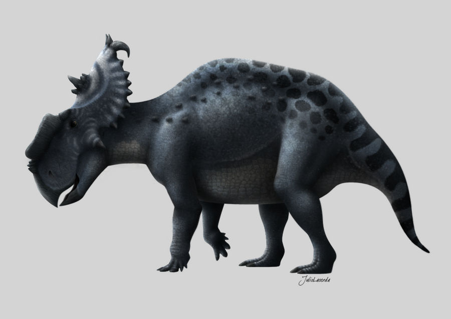 Pachyrhinosaurus lakustai by Julio-Lacerda