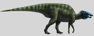 Edmontosaurus regalis