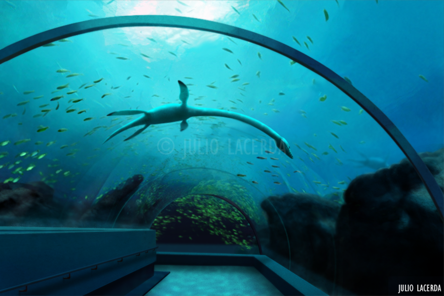 The Aquarium #2