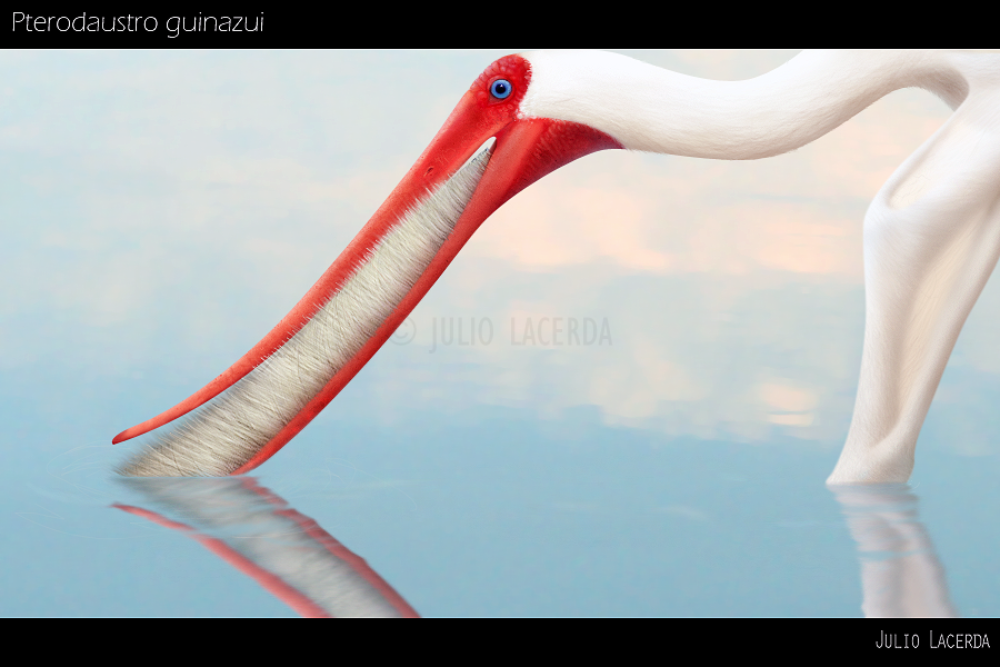 Feeding off a Mirror by Julio-Lacerda