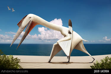The Beach Wanderer (Remake) by Julio-Lacerda