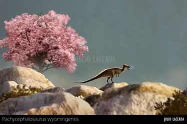 Magnolia by Julio-Lacerda