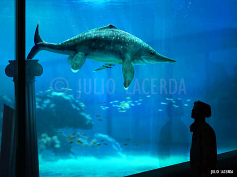The Aquarium #14
