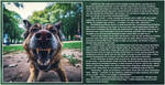 Petplay: Man To Dog - 2/2 by Transviscera