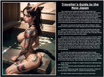 Traveller's Guide: Man to Catgirl by Transviscera