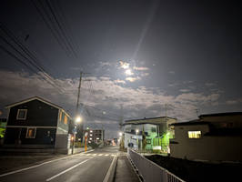 Spring Night