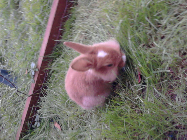 My bunneh.