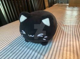 meow. :3