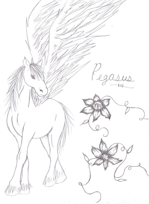 Flower Pegasus