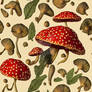 Fly agaric pattern